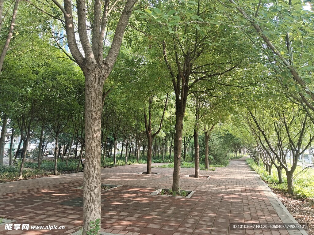 夏日公园