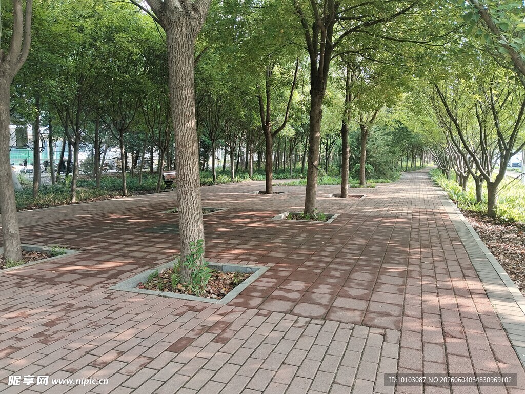 户外景色
