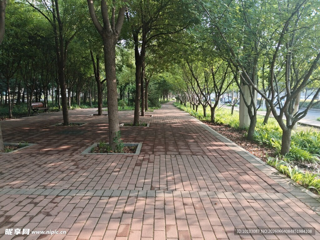 公园景色