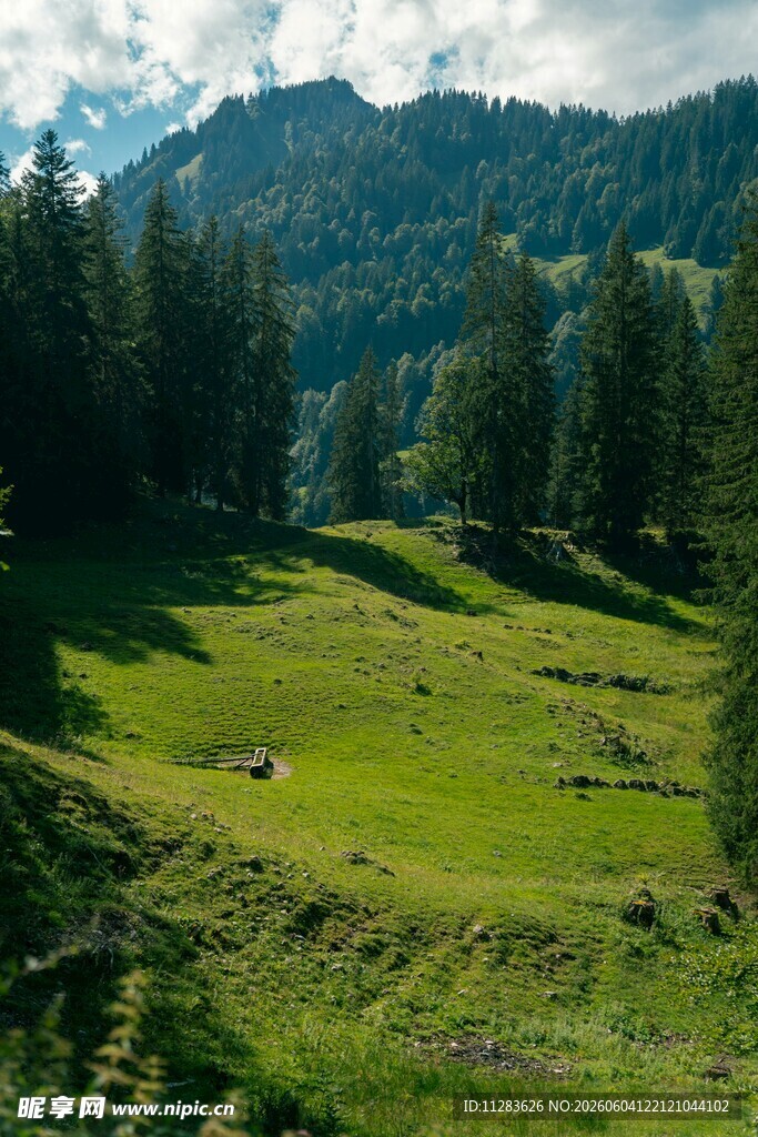 山间绿草地自