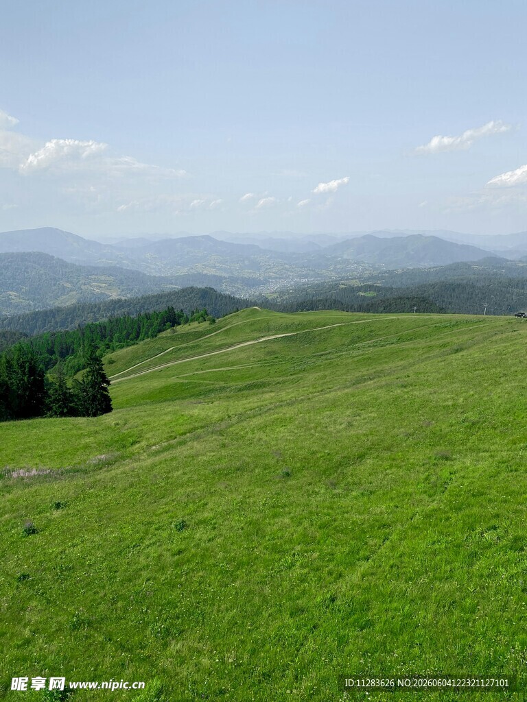 广袤绿草地与
