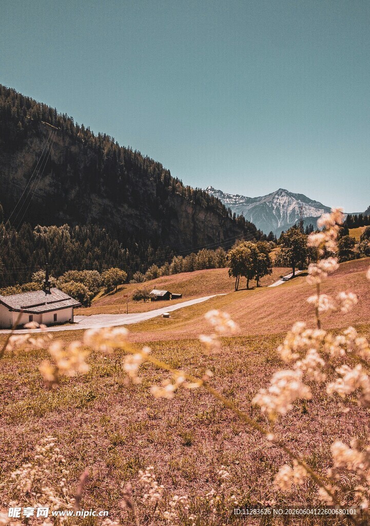山间美景田野
