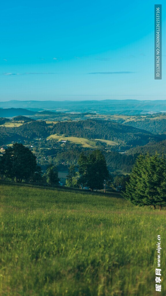 广袤绿野与远处山峦美景