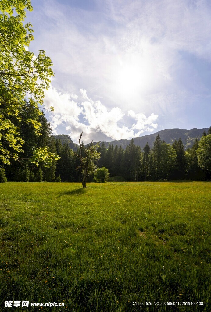 绿野山林间的自然美景