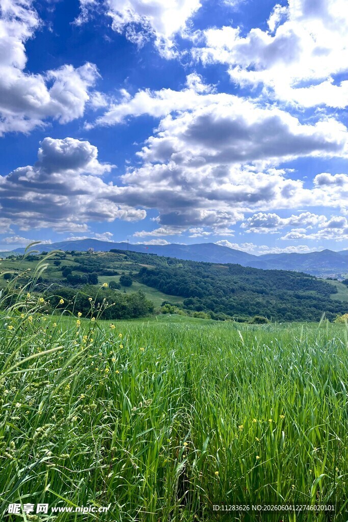 广袤绿野蓝天