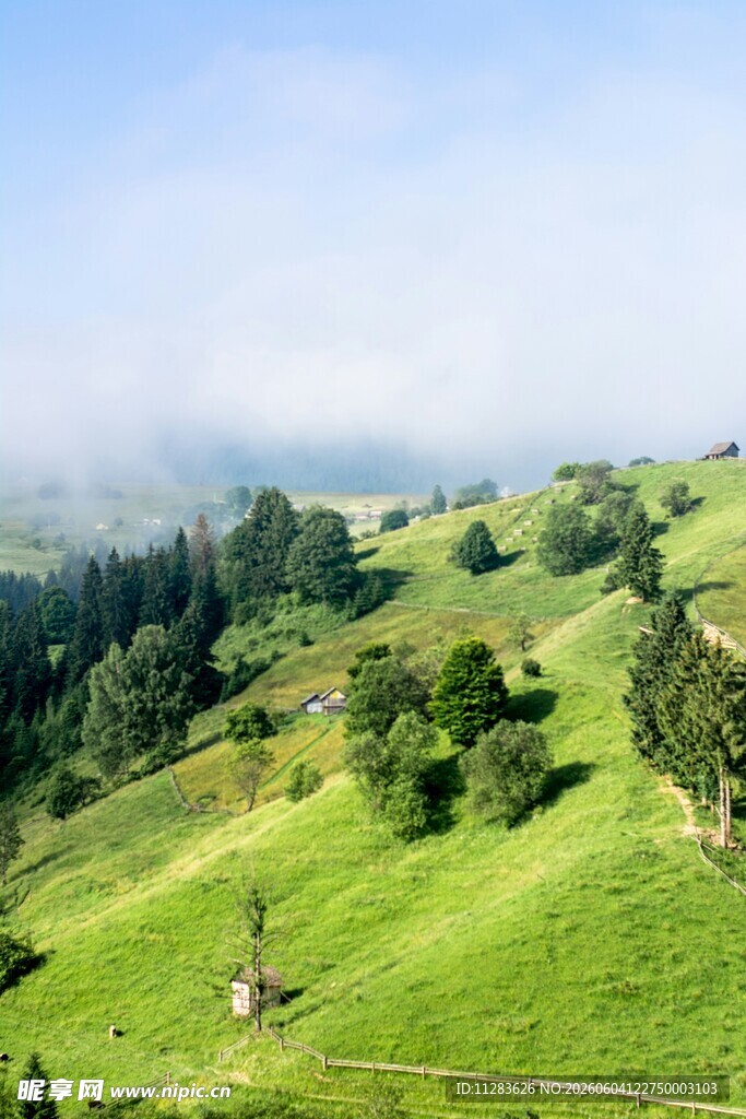 翠绿山坡间的清新景致