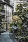 室内绿植环绕