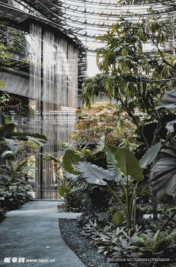 室内绿植环绕