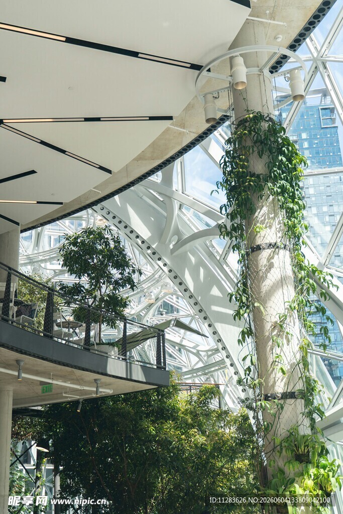 室内绿植环绕