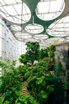 室内绿植景观