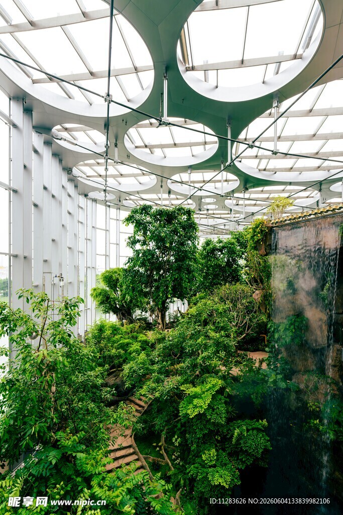 室内绿植景观