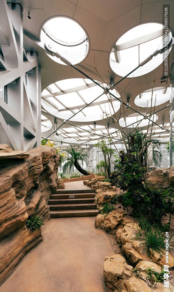 室内绿植景观