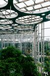 温室绿植景观
