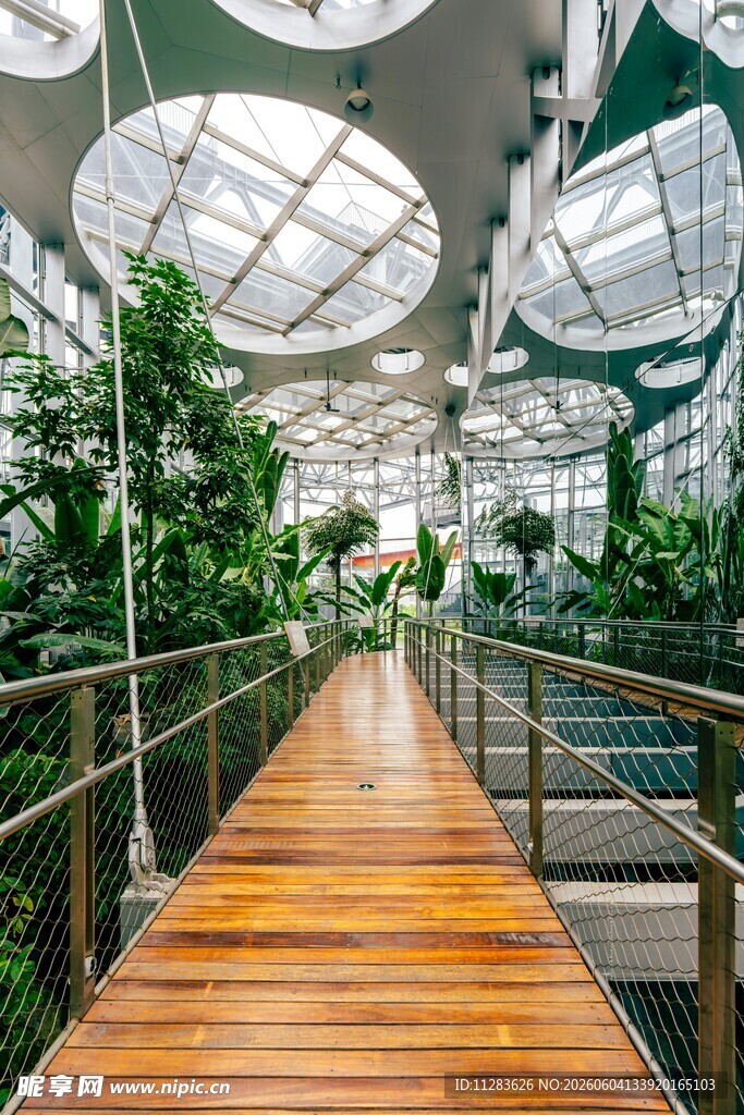 未来感植物走廊景观