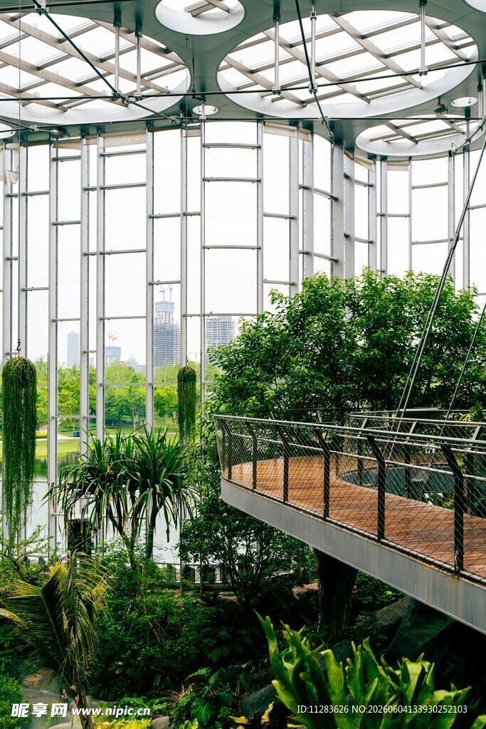 温室绿植景观