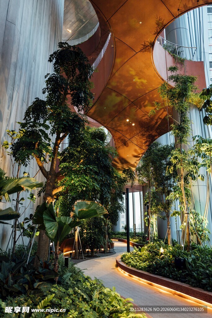 室内绿植景观
