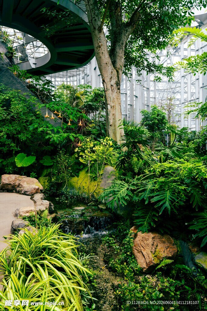 静谧庭院绿植景观