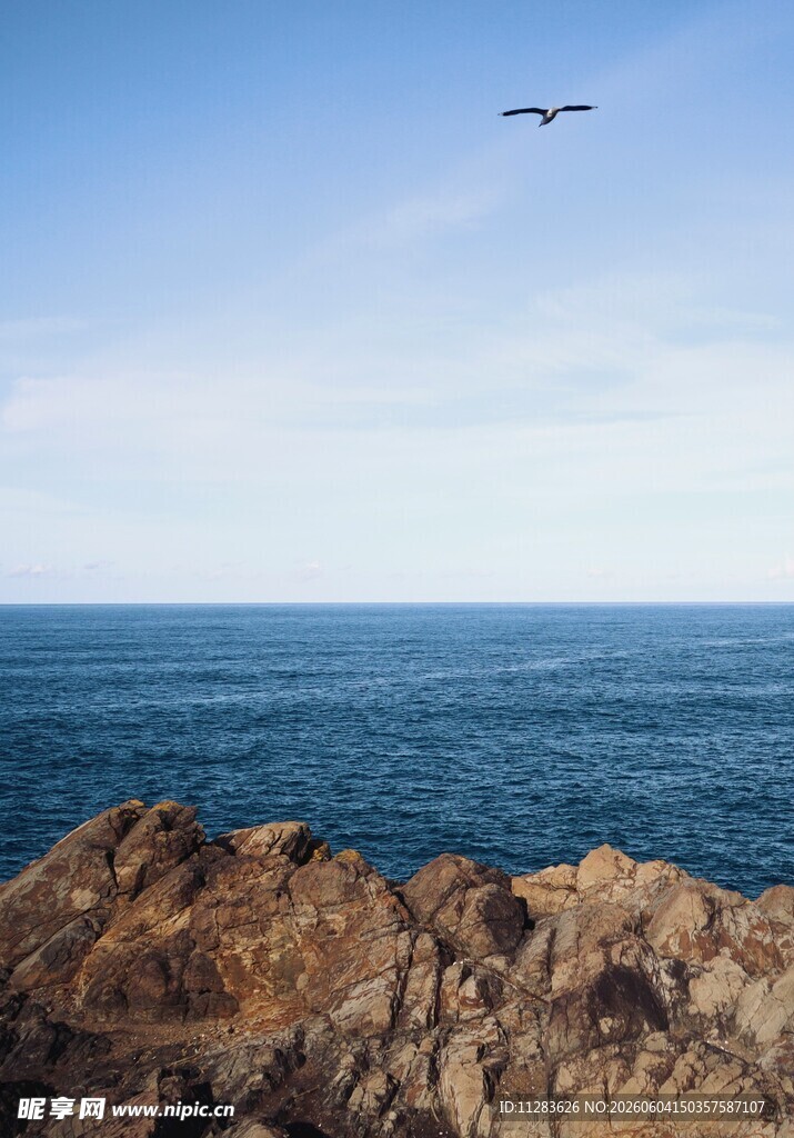 海边岩石上飞