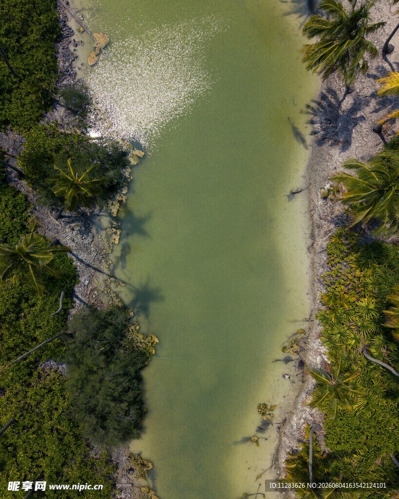 俯瞰翠绿海岸