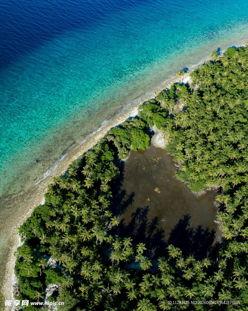海岛椰林环绕