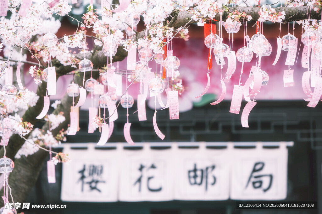樱花邮局浪漫春日景致