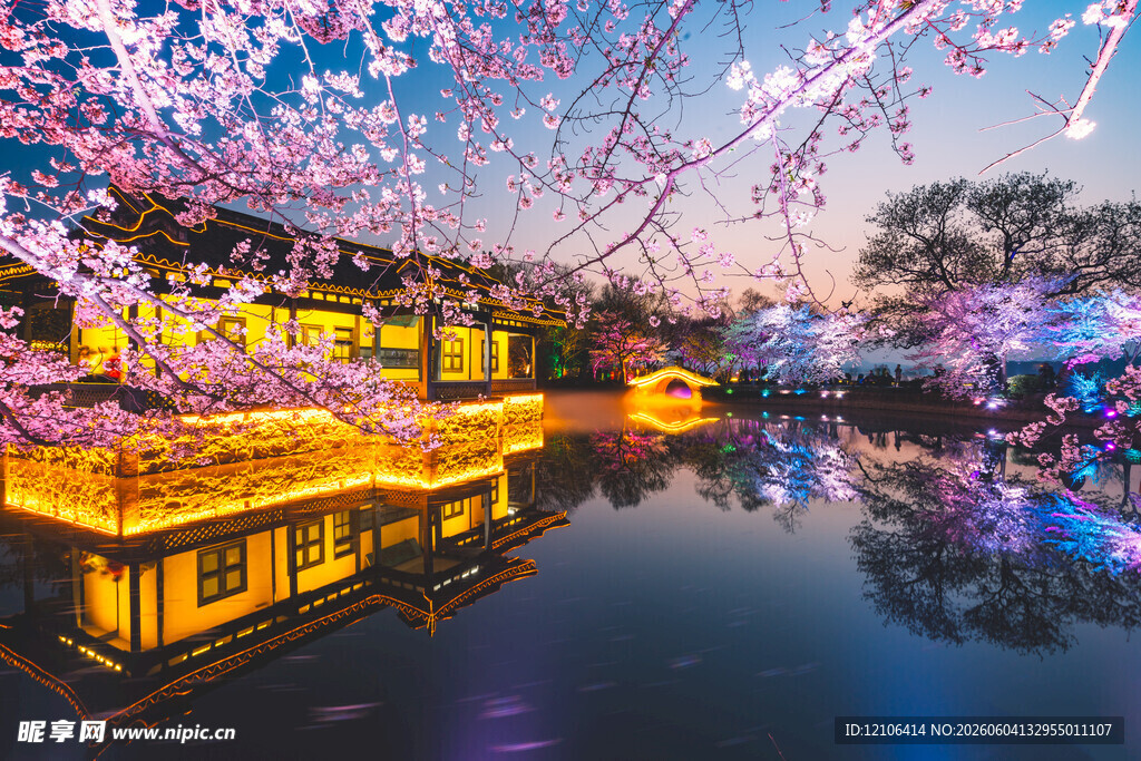 湖畔夜樱景灯火映繁花