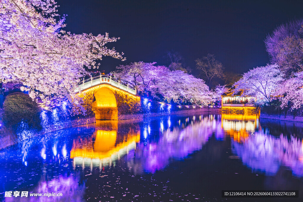 夜赏湖畔绚烂樱花桥景