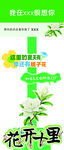 花开千里健康服务平台