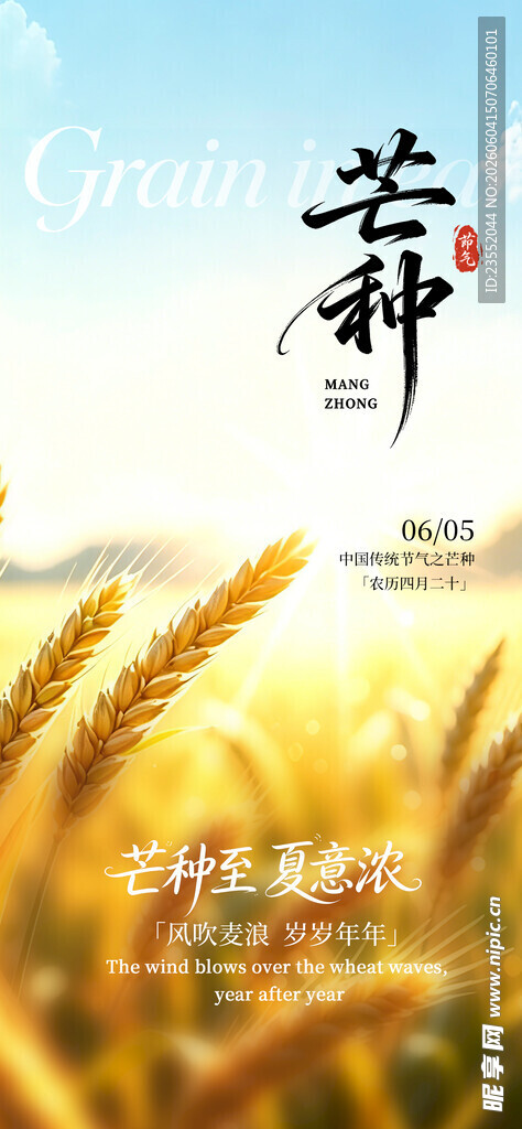 芒种时节麦田风光