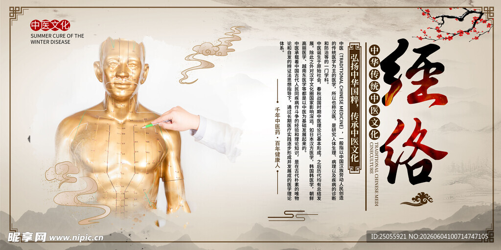 传统经络图展示