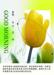清新郁金香早安主题海报