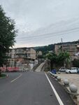 乡村道路旁的民居景象