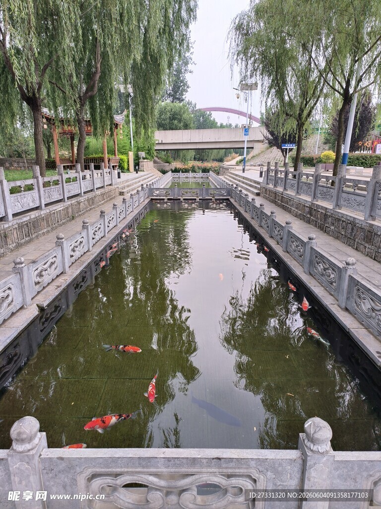 中式园林池塘锦鲤景观