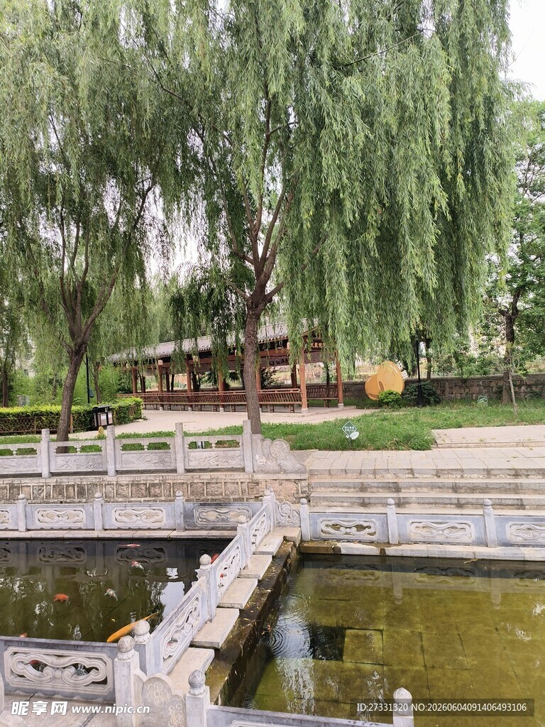 湖畔垂柳下的木桥景致