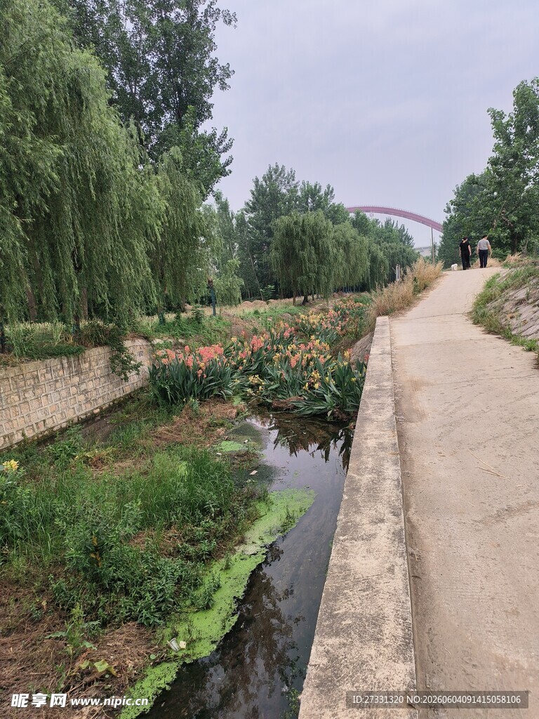 乡村小河畔的自然景致