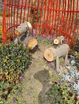 花园