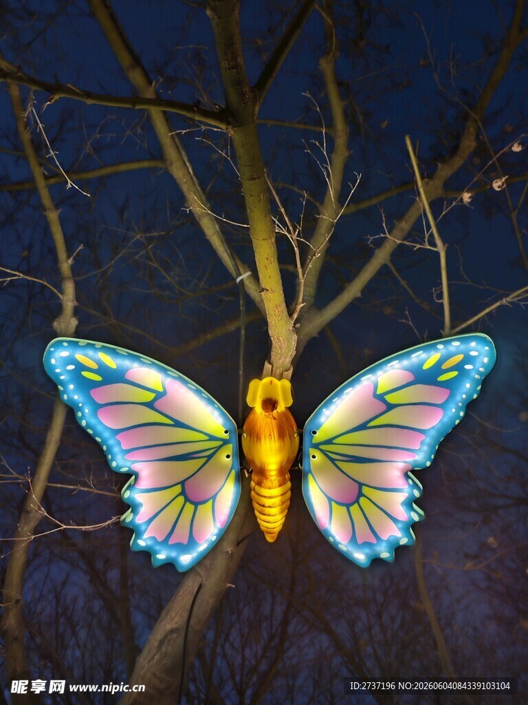 夜间发光蝴蝶