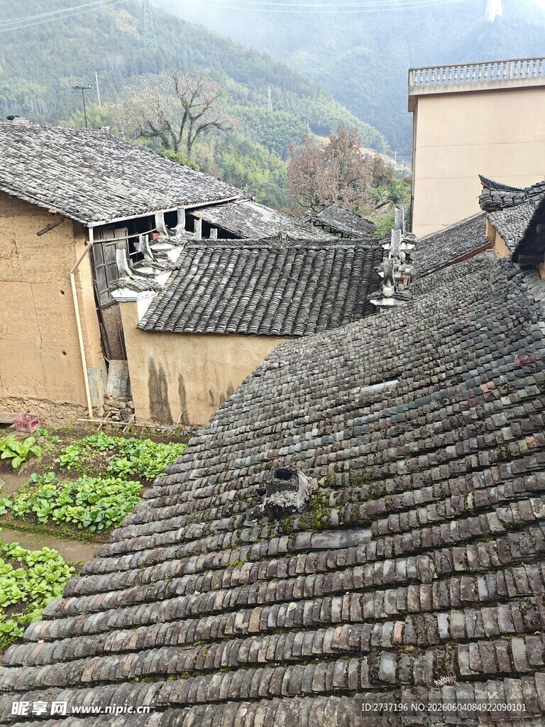 后畲村