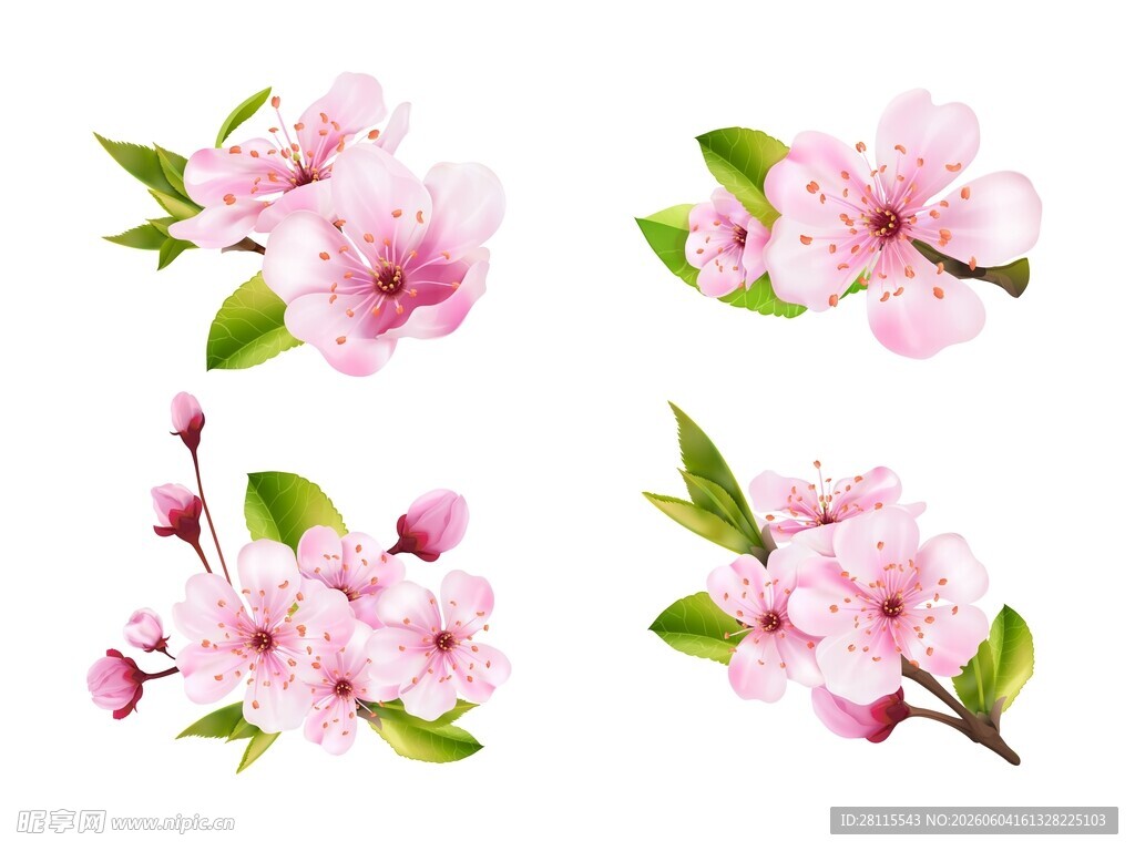 粉色桃花素材