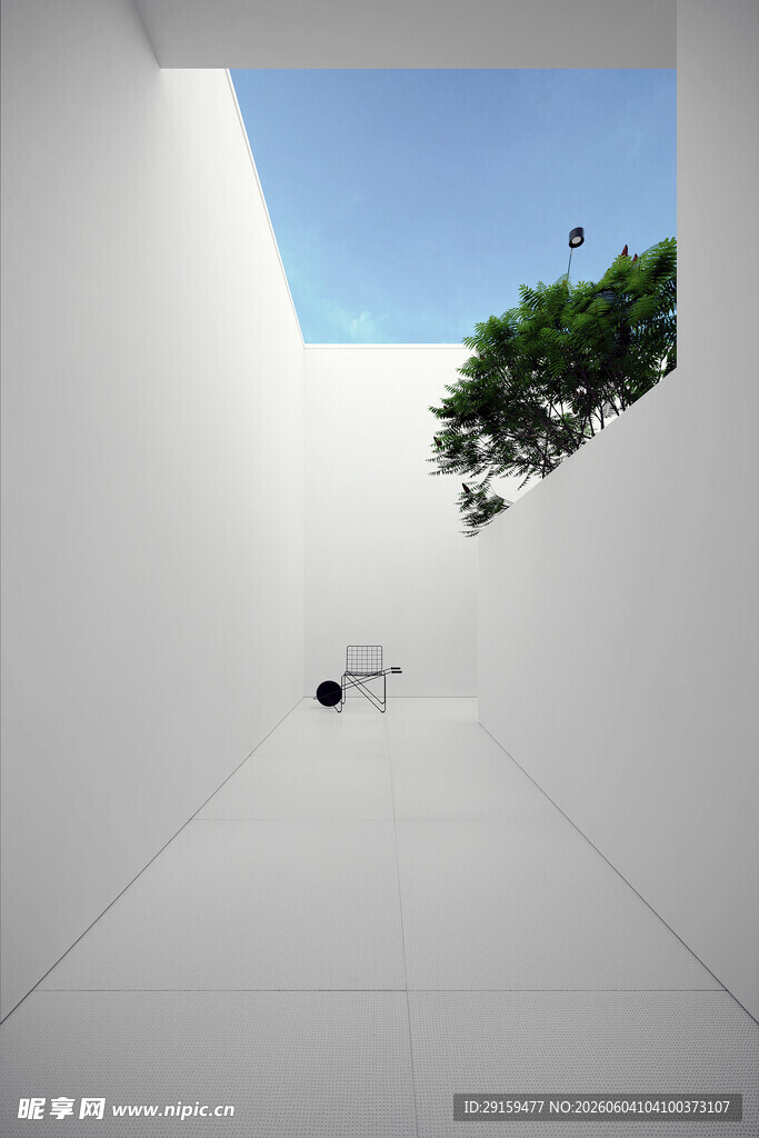 极简白色空间中的绿植景观