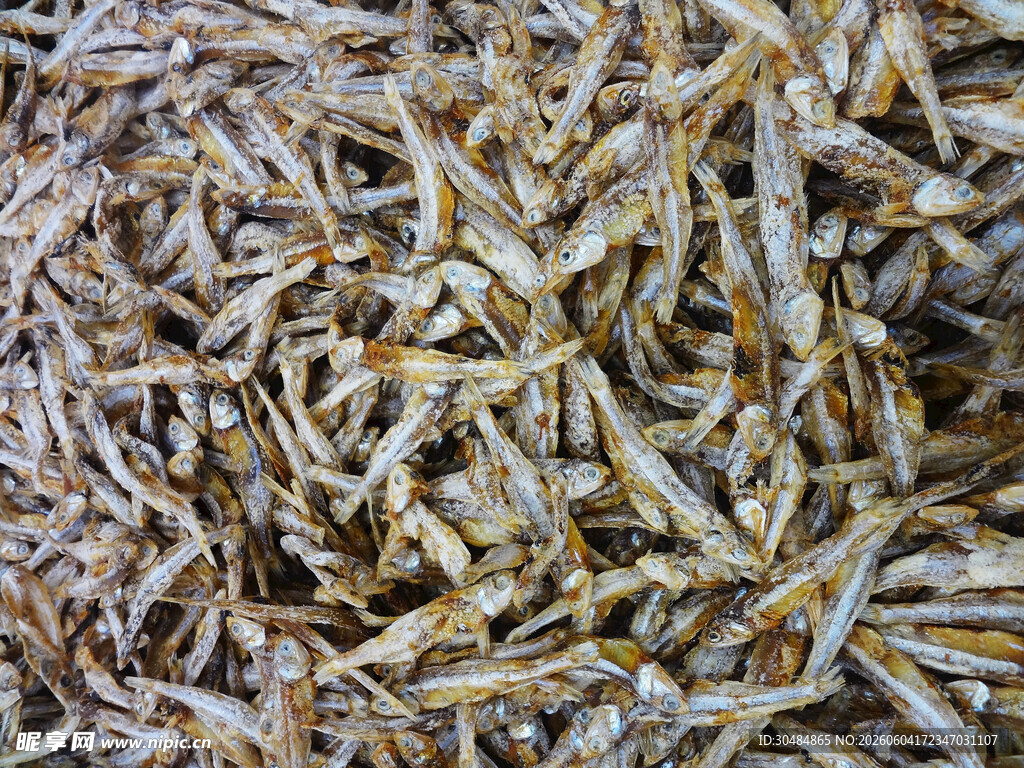 干制小鱼干特写