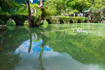 静谧湖景倒映葱郁绿树