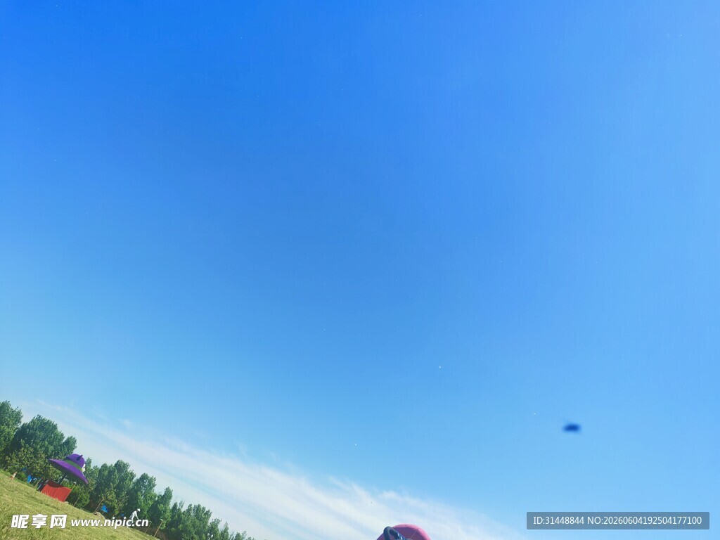 蓝天绿地中的多彩景象
