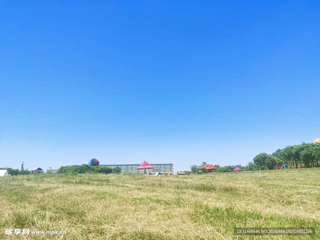 广阔田野与蓝天的美丽景致