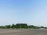 宽阔道路旁的葱郁树林