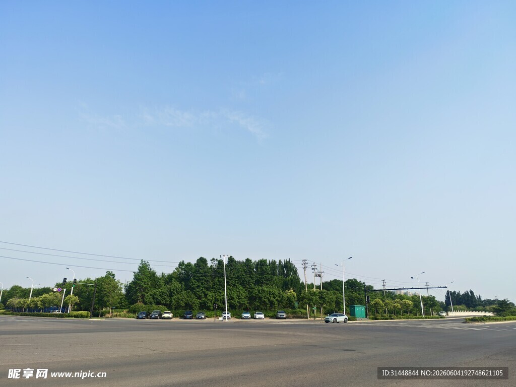 宽阔道路旁的葱郁树林