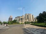 城市宽阔道路旁的高楼景观