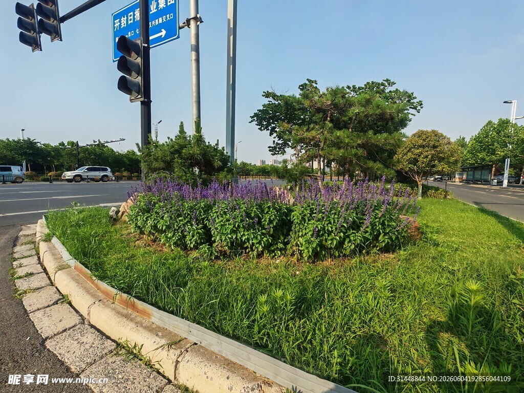 城市街角的绿植景观