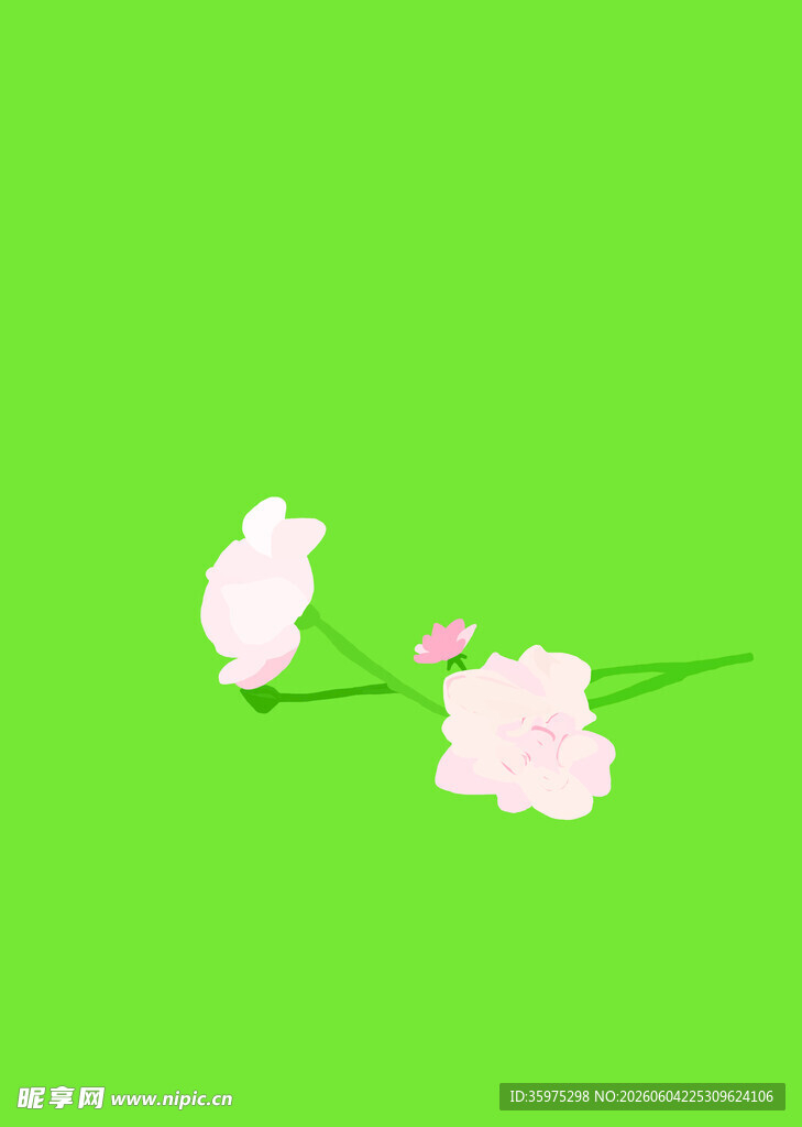两朵白色小花