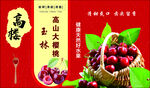 樱桃